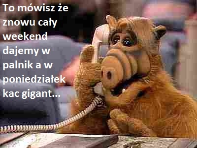 alko alf