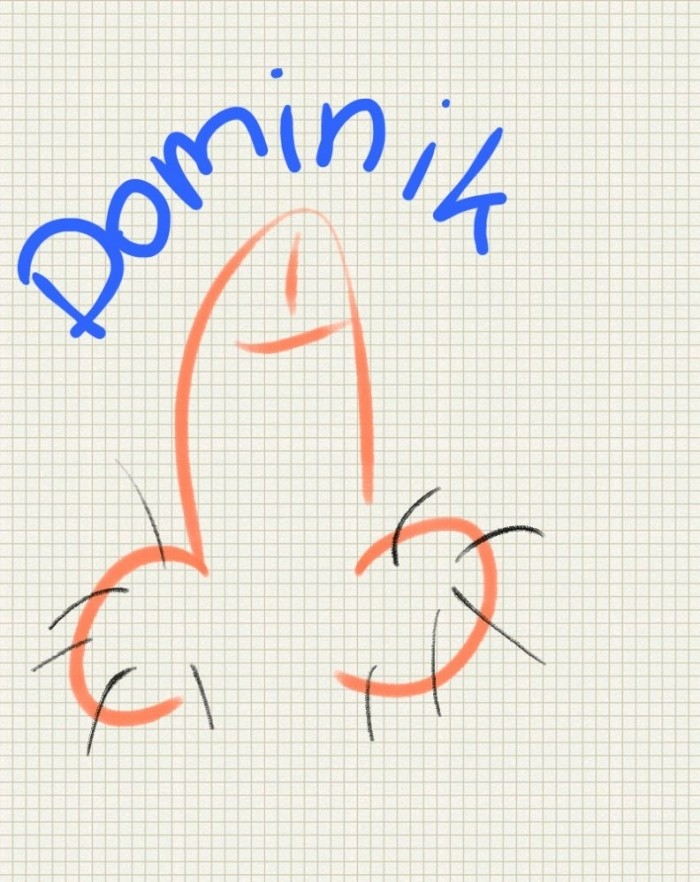 dominik