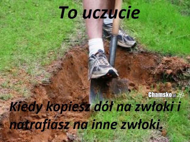 To uczucie
