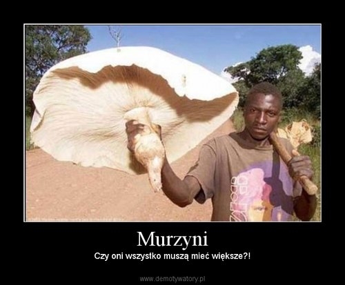 Murzy?ski Grzyb:)
