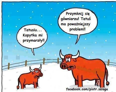 Zimowe problemy