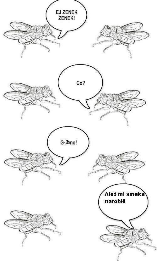 ZENEK!