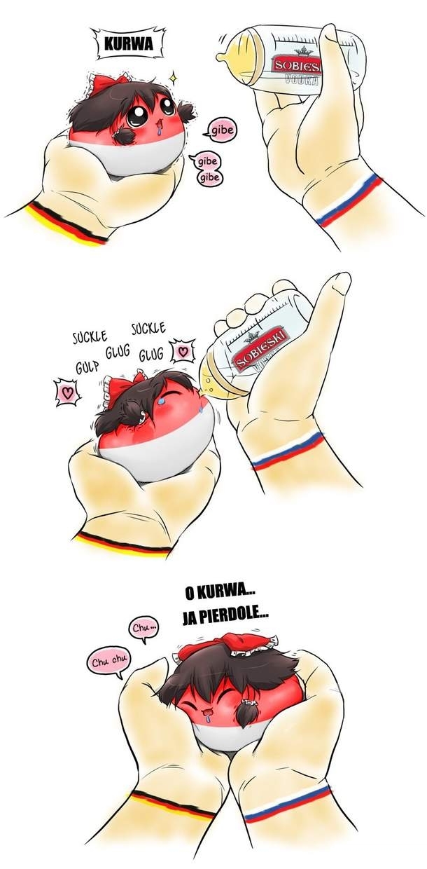 Polska w internecie