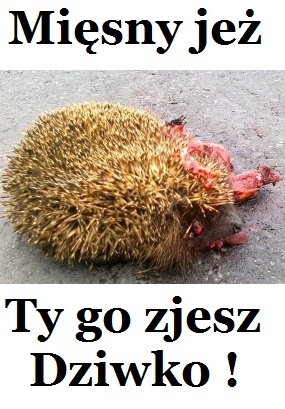 Mi?sny je?