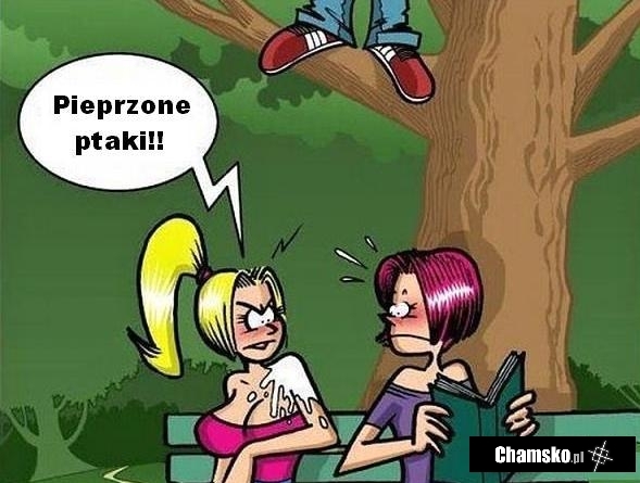 Ptaki