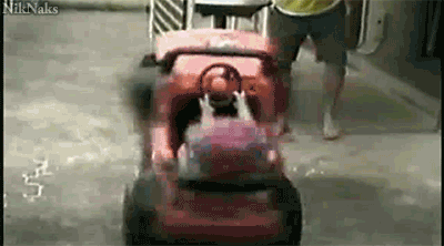 Jeb na ryj