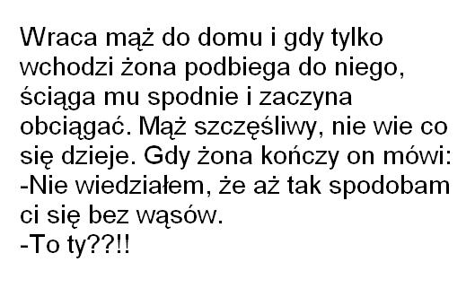Wąs
