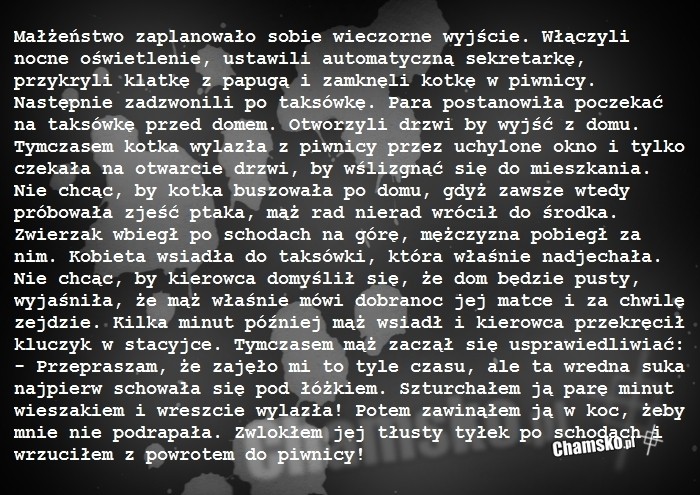 Wieczorne wyj?cie