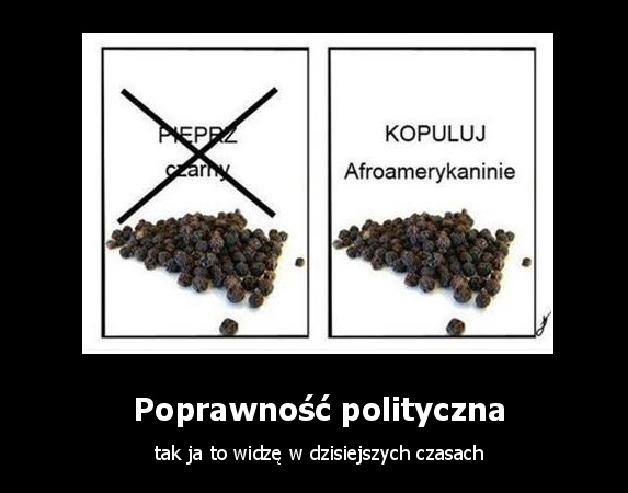 Pieprzona poprawność