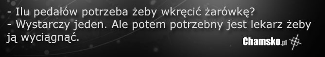 Homo i żarówka