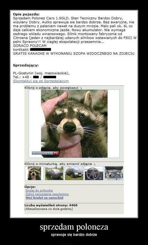 sprzedam Poloneza