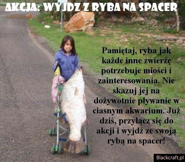 akcja z ryb?