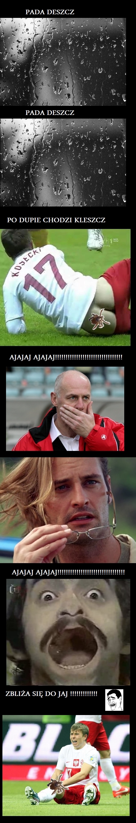 Kleszcz