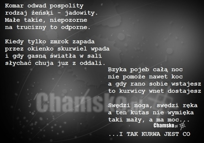 Jebane komary