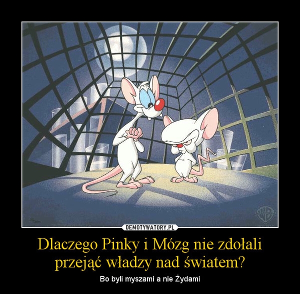 Zagadka z dzieciństwa rozwiązana
