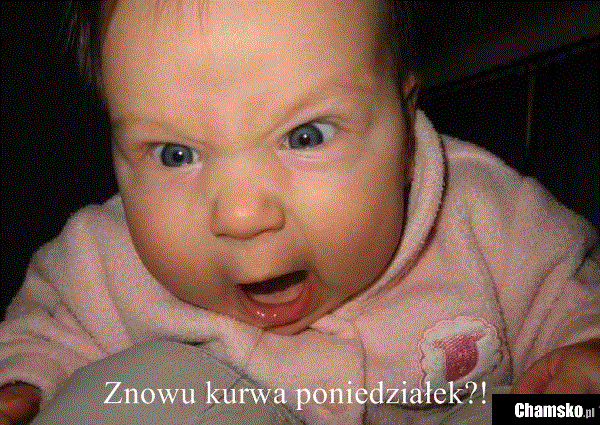 Znowu?!