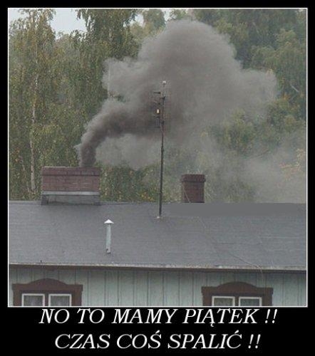 Palimy ?