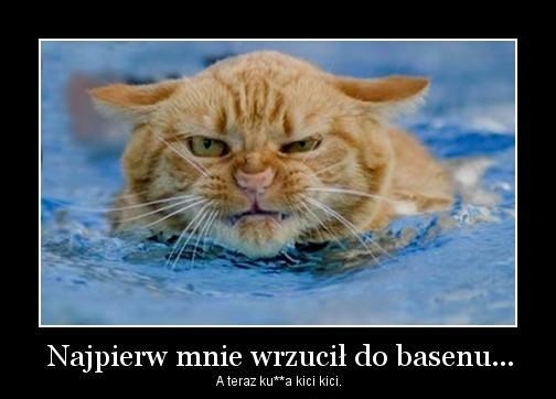 Kici kici kurwa!