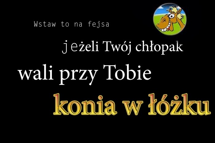 Ko? Szymon