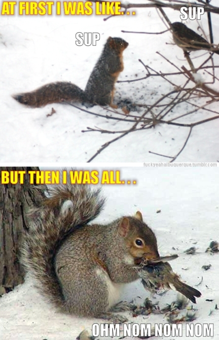Om nom nom nom