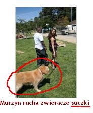 Murzyn i suczka
