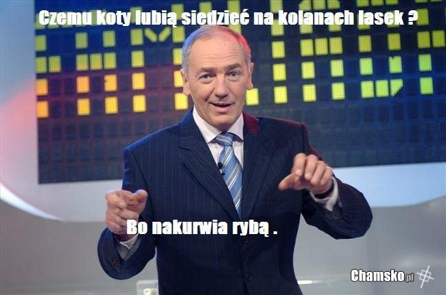 Koty i kobiety