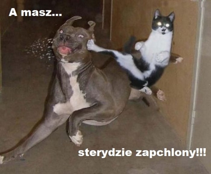 steryd