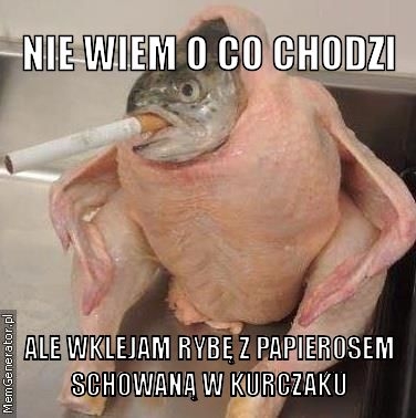 kurczak