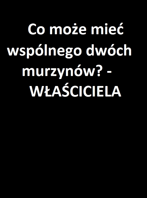 o murzynach