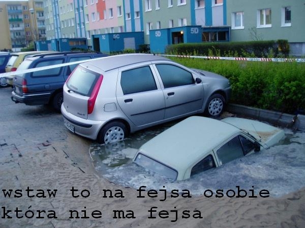 wstawia? !