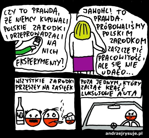 Zarodki