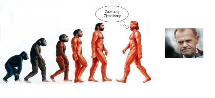 Zawracaj