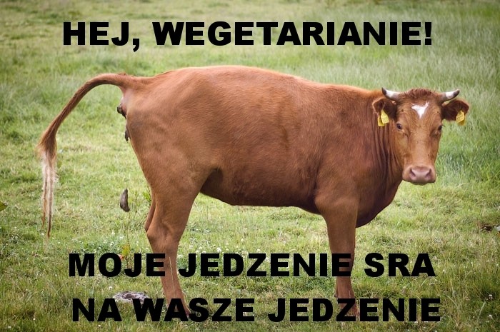 Wegetarianie