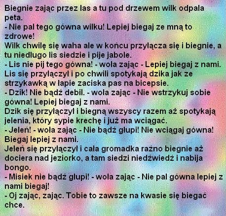 zając na kwasie