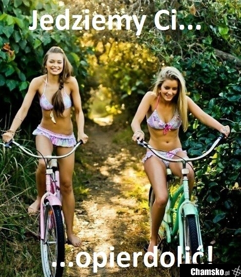 Jedziemy