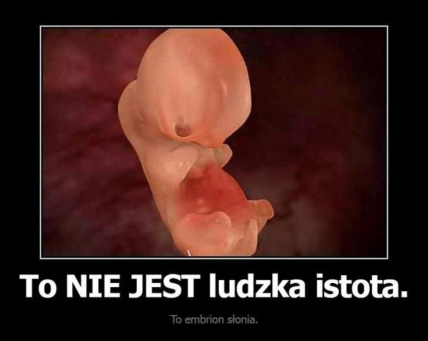 To nie cz?owiek!
