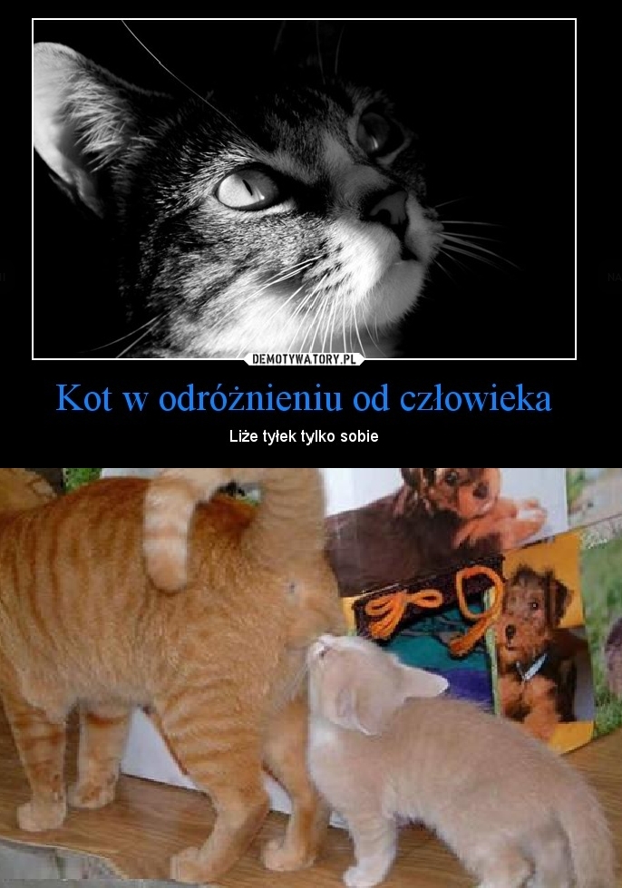 eheee