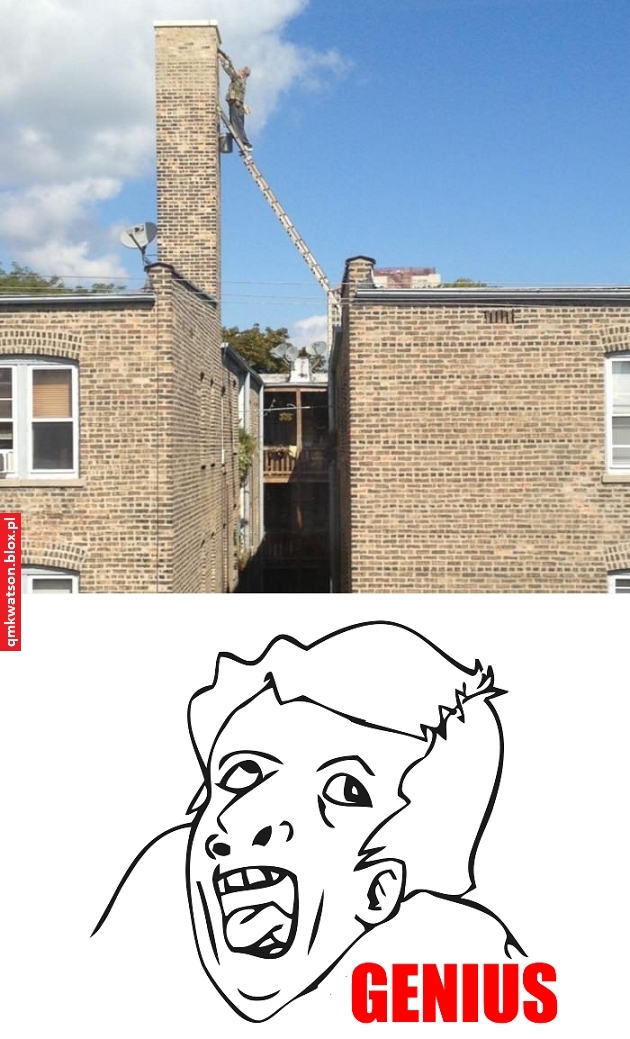 Genius