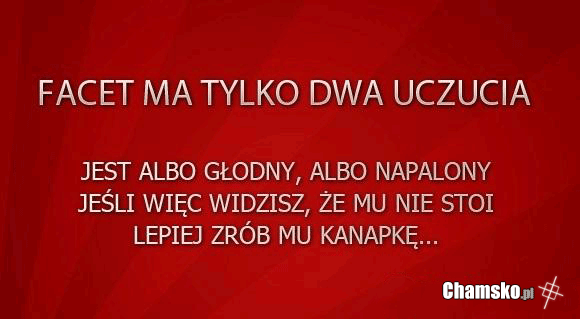 Facet ma tylko dwa uczucia