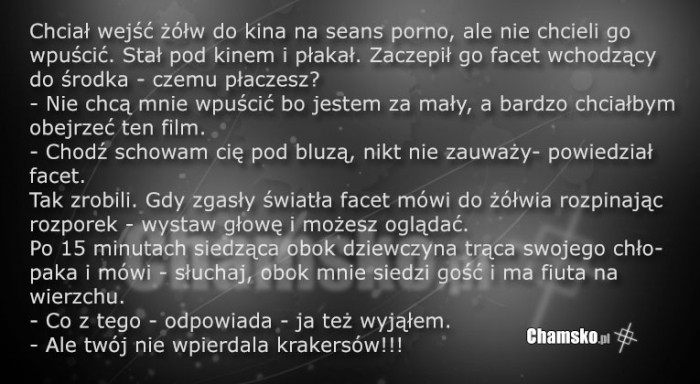 Żółw w kinie