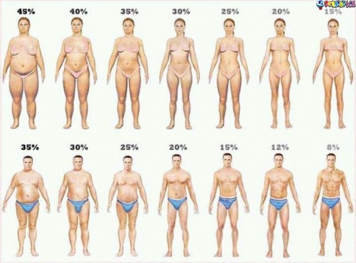 idzie zima jaki jest twój procent t?uszczu?