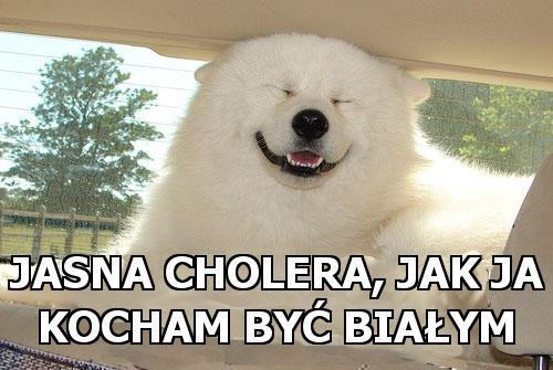 być białym