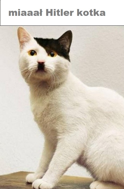 sobowtór