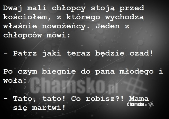 Ma?y ?artowni?