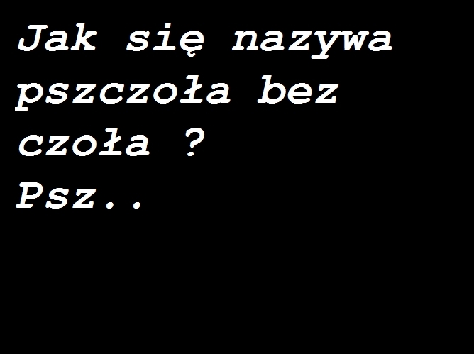 Pszczoła