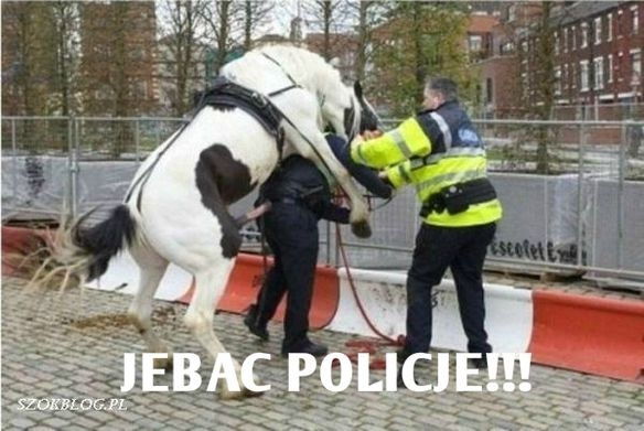 JEBA? POLICJ?!!!