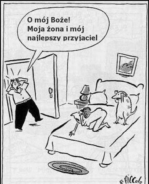 Mój przyjacielu...