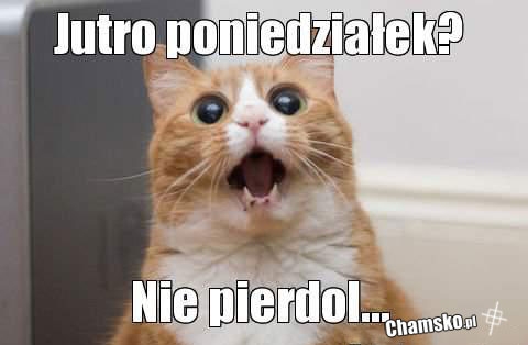 Jutro poniedziałek? Nie pierdol!