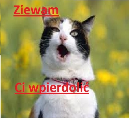 Ziewaaam