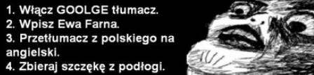 Google t?umacz